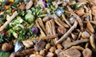 food waste composting