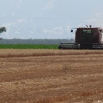 California’s Drought is Hurting Farmers More Than Food Consumers