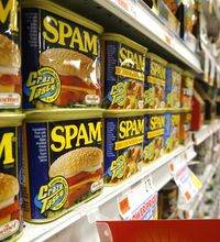 FILE - In this May 27, 2008 file photo, cans of Spam line the shelves at a store in Berlin, Vt. Hormel Foods Corp. on Thursday, May 21, 2009 said that its fiscal second-quarter profit edged up 4 percent as the maker of Spam and Dinty Moore stews sold more canned meats and Mexican products to budget-conscious consumers. (AP Photo/Toby Talbot, file) ORG XMIT: NYBZ127