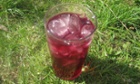 Blackberry and star anise cordial