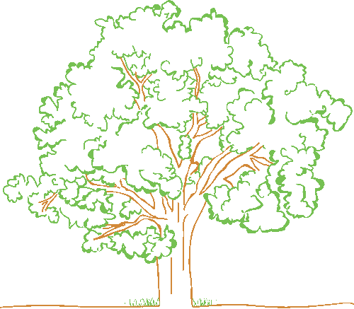 knowledge tree illustration