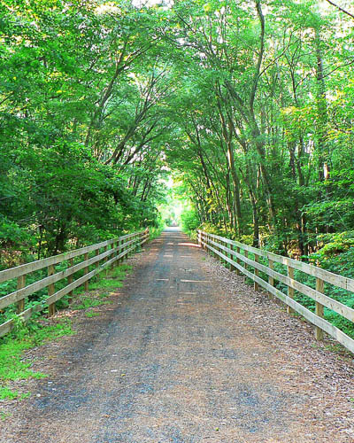 Explore Delaware's Many Trails.