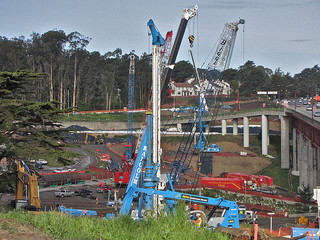 The dancing of the cranes