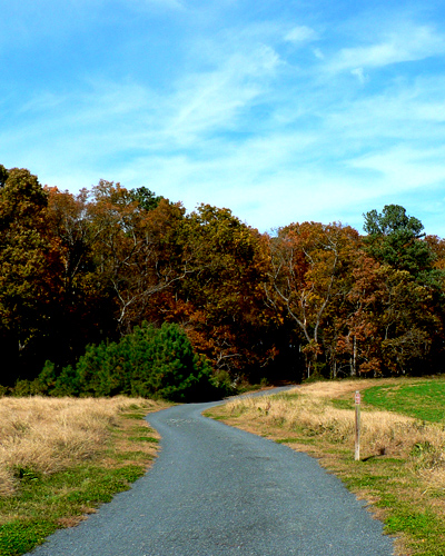 Photo of a Delaware State Park trail in the fall.