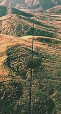 Forestry clearcut along a boundary