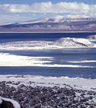 Mono Lake Volcanic Field in winter