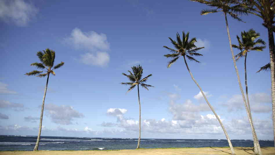 View of Kualoa beach on the island of Oahu on June 17, 2010.