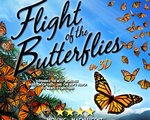 Flight of the Butterflies in 3D