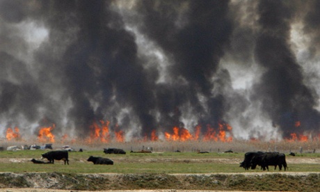 A controlled fire to burn about 300 acres of the invasive reed called phragmites, near Hooper, Utah.