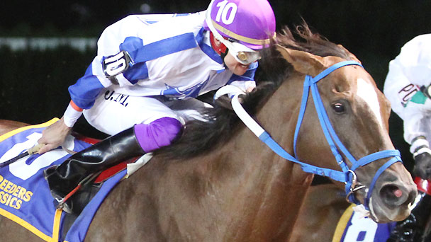 Russell Road wins the 2014 West Virginia Breeders' Classic Stakes.