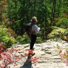 Robbers Cave State Park in southeastern Oklahoma is one of the state's most popular parks.