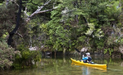 Abel Tasman National Park in New Zealand