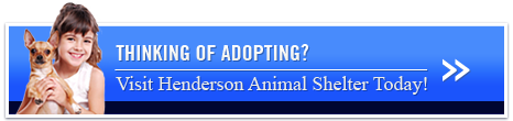 Thinking of Adopting - Visit Henderson Animal Shelter Today