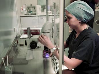 An embryologist works on embryo at the Create Health fertility clinic in south London on August 14, 2013. (AP/SANG TAN)