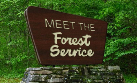 Meet the Forest Service