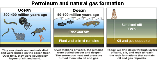 Three images,  about Petroleum & Natural Gas Formation. Adapted from the National Energy Education Development Project.
              The first image is about the Ocean 300 to 400 million years ago. Tiny sea plants and animals died and were buried on the ocean floor. Over time, they were covered by layers of sand and silt.
              The second image is about the Ocean 50 to 100 million years ago. Over millions of years, the remains were buried deeper and deeper. The enormous heat and pressure turned them into oil and gas.
              The third image is about Oil & Gas Deposits. Today, we drill down through layers of sand, silt, and rock to reach the rock formations that contain oil and gas deposits.