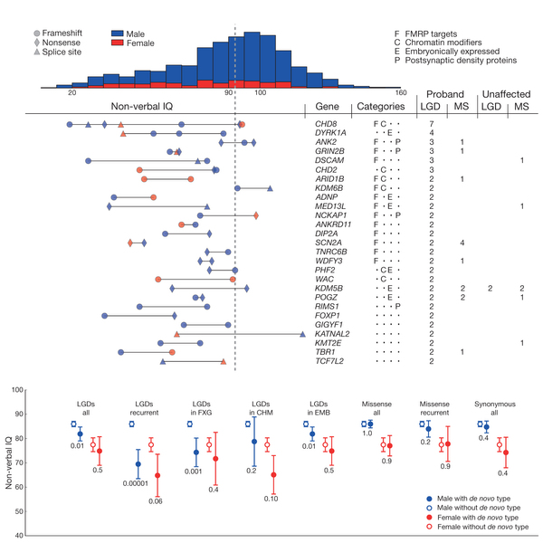 Recurrently hit genes and non-verbal IQ.