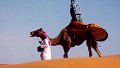 Google hires camel for Street View