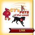Cy's Pets of the Week