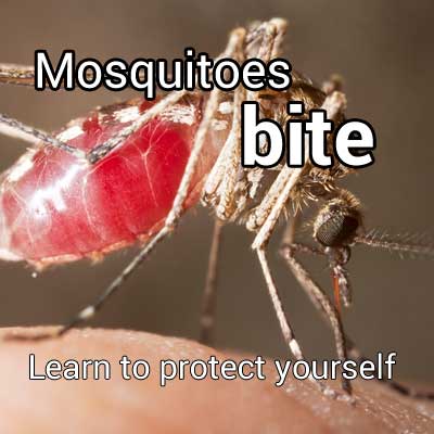 mosquitoes bite. Learn to protect yourself