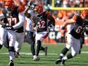 Baltimore Ravens v Cincinnati Bengals