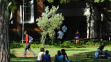 Students relax on the lawns of a university campus. (credit: Stephane de Sakutin/AFP/Getty Images)