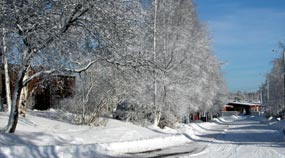 Plan ahead and be prepared as cold temperatures and winter storms can be hazardous. 