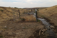 A new map shows rangeland health nationwide