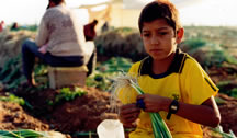 List of Goods Produced by Child labor, Forced labor