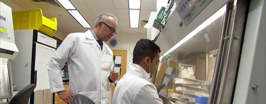 Unproven Stem Cell Treatment Faces Controversy