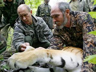 Russian President Vladimir Putin's Tigers Go on Killing Spree in China