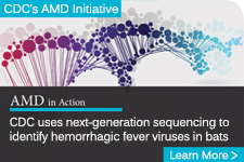 illustration of colorful DNA strand behind the text - CDC uses next-generation sequencing to identify hemorrhagic fever viruses in bats