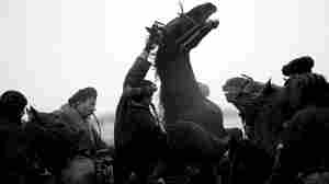 Buzkashi in Sheberghan, Jowzjan Province, northern Afghanistan....