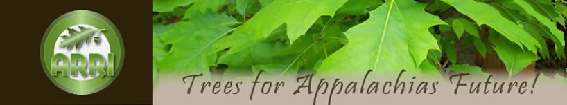 Graphic banner with ARRI logo and text: Trees for Appalachia's Future.