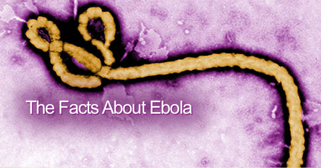 The facts about Ebola