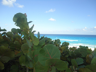 Cancun