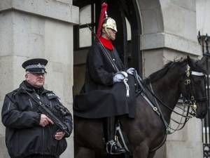 12 January 2015: An armed police officer patrols on Whitehall in London