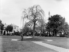 Public Park in an unknown location - but for how long???? Location Identified as Sandymount Dublin