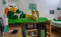 'HAPPY MEAN GREEN FRIDAY: What could be better than a Mean Green Friday? A Mean Green Friday on reading day.

Study up and good luck on your finals!'