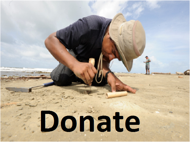 Donate