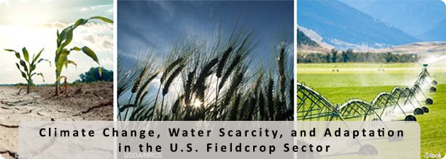 Despite increased temperatures and much regional variation in production response, U.S. irrigated fieldcrop acreage and water used for irrigation are projected to decline with long-term climate change.