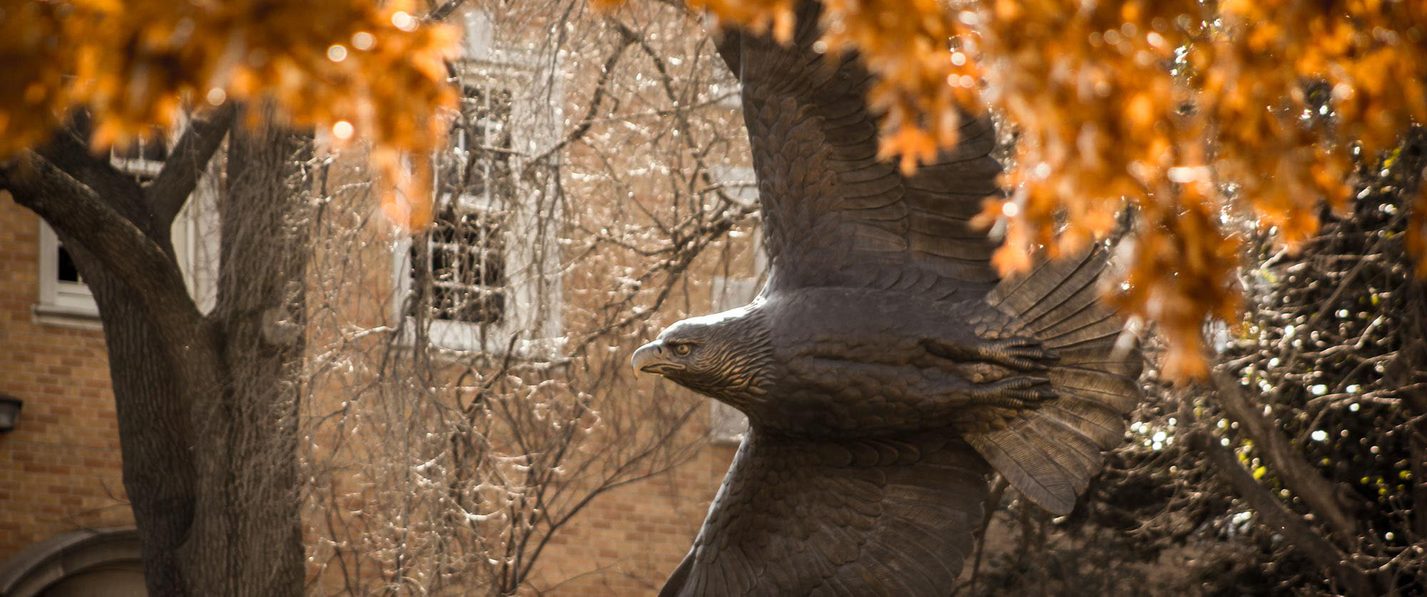 Eagle statue