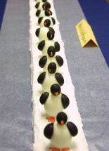 March of the Penquins