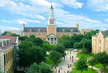 University of North Texas / by UNT Information Technology