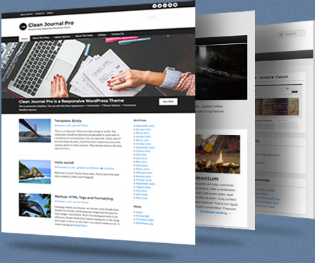 Premium WordPress Themes for Diverse Range of Web Publishers