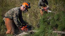 Two Marines use chainsaws to cut their most recently felled tree into more manageable pieces, at Marine Corps Base Camp Lejeune, N.C., Oct. 13, 2016. Marines with Bridge Company, 8th Engineer Support Battalion took part in a chainsaw licensing class where they received hands-on experience in proper cutting techniques and chainsaw safety. The class ensures that the unit always has Marines available who can help cut away various obstructions threatening mission accomplishment.