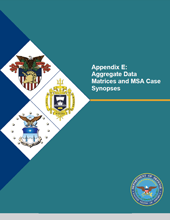 Cover of Appendix E: Aggregate Data Matrices and MSA Case Synopses