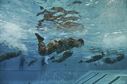 Special Tactics Training Squadron students swim the length of the pool with their hands and feet bound during a pre-scuba class at Hurlburt Field, Fla., June 29, 2016. The training familiarizes trainees with the basics of water operations. The trainees perform tasks such as tying knots underwater, staying afloat without their arms and hands, and using snorkeling gear. (U.S. Air Force photo/Senior Airman Ryan Conroy)