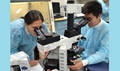 Researchers examine biological specimens 