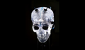 Sensors attached to a translucent model skull are used to measure explosive shock velocity and pressure at the Army Research Laboratory Weapons and Materials Research Directorate at Aberdeen Proving Ground in Aberdeen, Maryland. Data captured by the sensors are used to assist studies in traumatic brain injuries. (DoD photo by EJ Hersom)